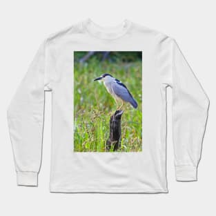 Black-crowned Night Heron Long Sleeve T-Shirt